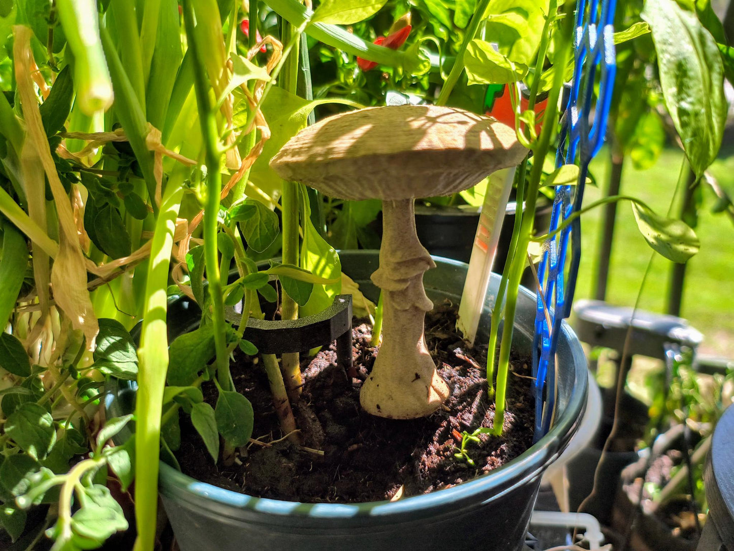Mushroom decor