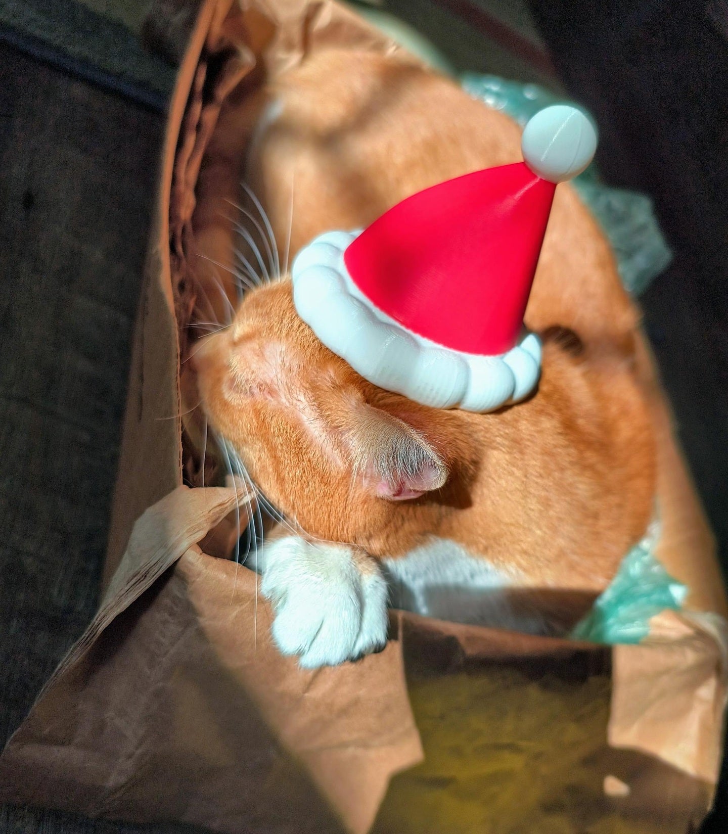 The "Forever" Santa Hat - 3D Printed Desk Decor